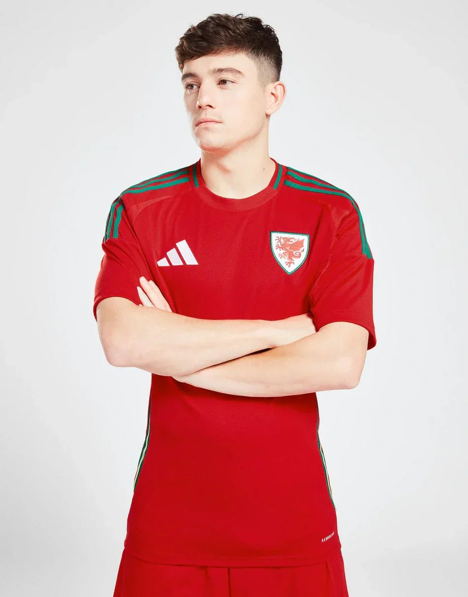 WALES 2024 HOME
