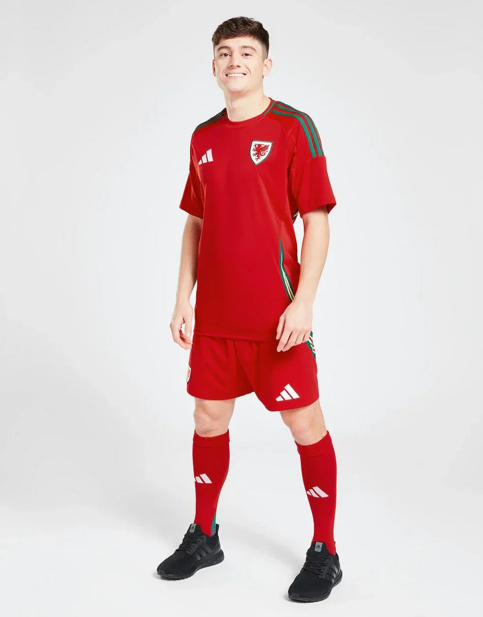 WALES 2024 HOME