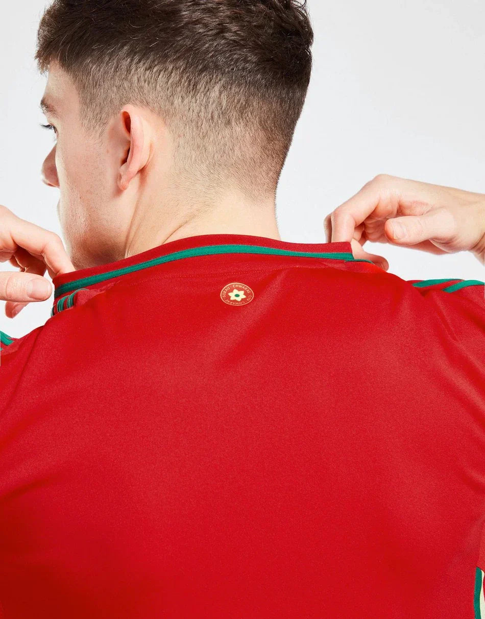 WALES 2024 HOME