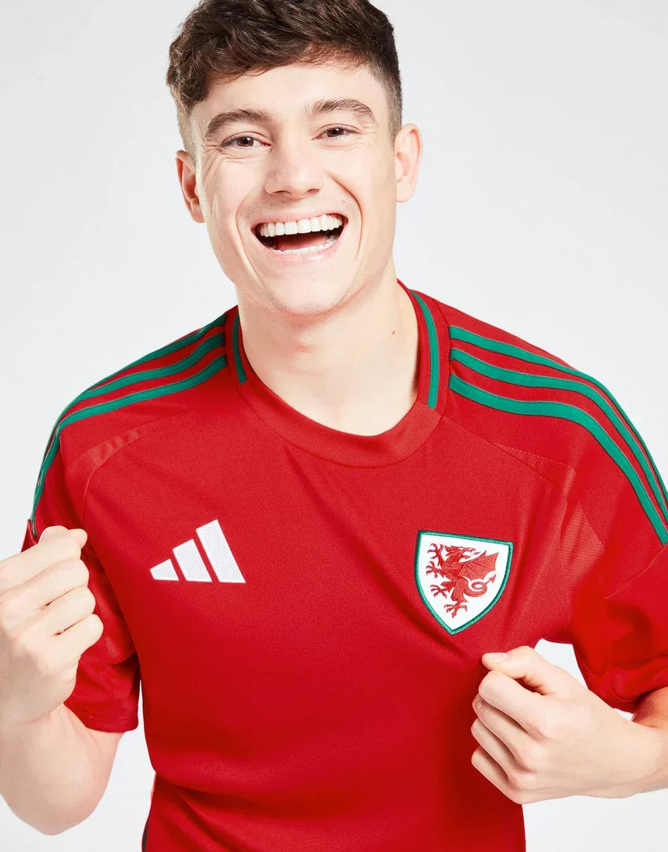 WALES 2024 HOME